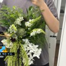 아티초크플라워 | 웨딩촬영 셀프부케 후기｜고터 꽃시장 꽃 구매부터 제작까지