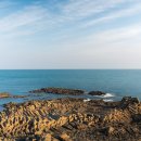 양남주상절리 이미지