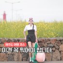 해녀 | 오늘은해녀 제주 기억에 남을 스냅 촬영 추천 제주해녀 스냅 솔직후기