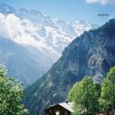 스몰커피 이미지