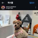 도토리펫샵 이미지