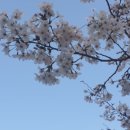 빽다방 광양중마사랑점