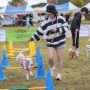 탄금산업 이미지