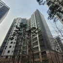 중앙동207 이미지