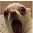 새벽대게 성동지점