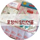 포항시북구96 이미지