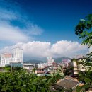 통창공원 이미지