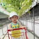 조던농장 이미지