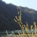 상방림교(상) 이미지