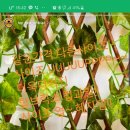 탑브릭스 네이버블로그