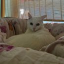 (주)미우랜드 이미지