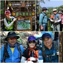 목산 제442차(2020년 6월 21일) 영광 물무산 행복숲길 정기산행 후기사진 이미지