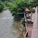 정글펜션 이미지