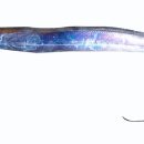 바다세상 이미지