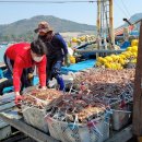 서망항1 이미지