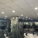 휘트니스 다온 이미지