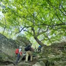 5/9/2026 Wolf Gap(1) 이미지