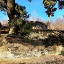 빗접바위 이미지