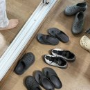 남조로수망교차로 4 | 제주도 늙크크 필수 맛집 - 각지불, 조천읍 다비치 강민경 들깨아구탕