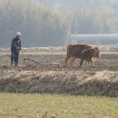 하늘땅바람 이미지