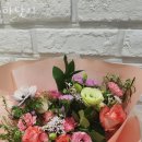 하닷사