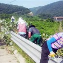 유치면사무소 이미지