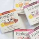 야옹이네 이미지