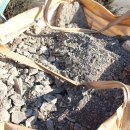 레디젯코리아 이미지