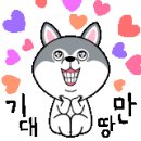 춘자네 개발바닥 이미지