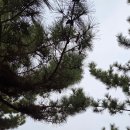 강문아구찜 이미지