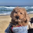 조은세상민박 | ~제주도 여행~