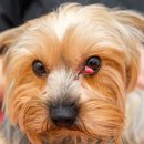 모양동물병원 이미지