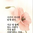 행복주식회사 Daum카페