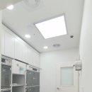 라온동물의료센터 이미지