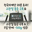 피츠필라테스 | 운동일기 / 천국의계단 20분 효과! 고관절 통증 극복 후 홈트에서 헬스장 다이어트 성공 후기