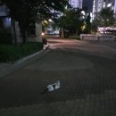 정관꼬꼬닭발 이미지