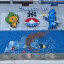 뚜벅이도 갈 수 있는 울릉도-독도 3박 4일(독도입도성공🇰🇷✨)