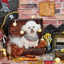 예쁘개 미용 이미지