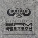 버팔로 복싱 이미지