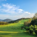 천일스크린골프 이미지