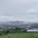 세한농원 이미지