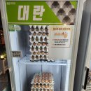 착한계란할인점