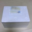 건강청과 | 국내산 고당도 체리자두 보배청과 택배 후기