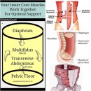 운동의 미학 이미지
