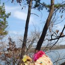 엣지있개 이미지