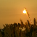 시흥 갯골생태공원 이미지