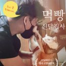 88카크리닉 | 상주 남천식당_시레기 국밥_신달하우스 로컬맛집 여행기