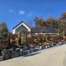 손 끝의 예술 라떼아트(정원 8명)(수)10:00 | 오창대형카페, 오창저수지카페│정원과 온실이 있는 숲이그린정원카페