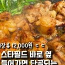 스타막창 네이버블로그