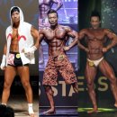 에스핏(S fit) 이미지